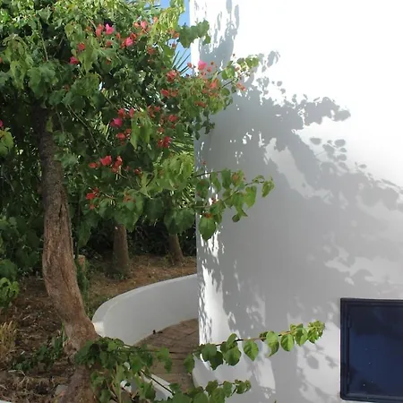 Casa Da Buganvília *