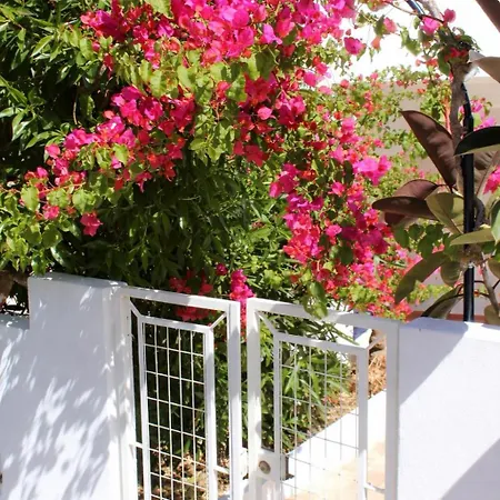 Casa Da Buganvilia Holiday home
